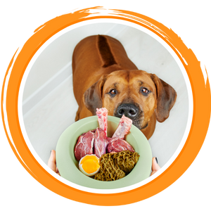 Futter-Check Premium