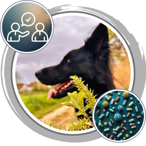 Umwelt-Check Premium