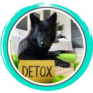 Detox-Bundle