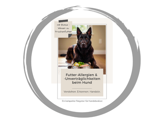 Futterallergien & -Unverträglichkeiten beim Hund | Verstehen. Erkennen. Handeln.